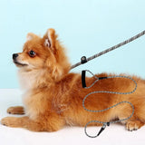 Pet Traction Rope   Pet Dog Safety Traction Rope  Dog Leash Stylish Pet Leash