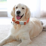 Pet Collar Breathable Reflective Lightweight Nicely Designed Dog Leash Breakaway With Bell Adjustable Training Necktie Supply