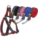 Dog Leash Harness Adjustable Collar Set Denim Pet Lead Vest for Small Medium Large Dogs Pet Cat Lead for Walking Training